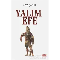 Yalım Efe - Ziya Şakir - Akıl Fikir Yayınları