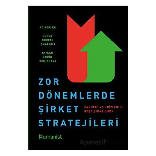 Zor Dönemlerde Şirket Stratejileri - Burcu Güneri Çangarlı - Hümanist Kitap Yayıncılık